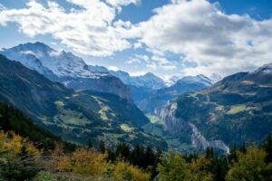 Ein Blick auf die Schweizer Alpen mit Bäumen und Bergen im Hintergrund.