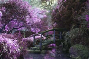 Eine Brücke über einen Teich in einem lila Wald.